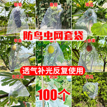 Fruit bagging professional non-woven fabric insect-proof bird-proof and waterproof mesh bag protective cover paper bag agricultural fruit tree artifact 824