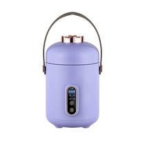 Rice Chestnut Bear Multifunction Electric Saucepan Electric Saucepan Electric Saucepan Soup Pot Stew Stockpot Ceramic Cooking Porridge Pot Reservation Timed Insulation