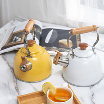 Kettle 304 stainless steel Japanese light luxury style kettle gas induction cooker gas universal red kitchen 482