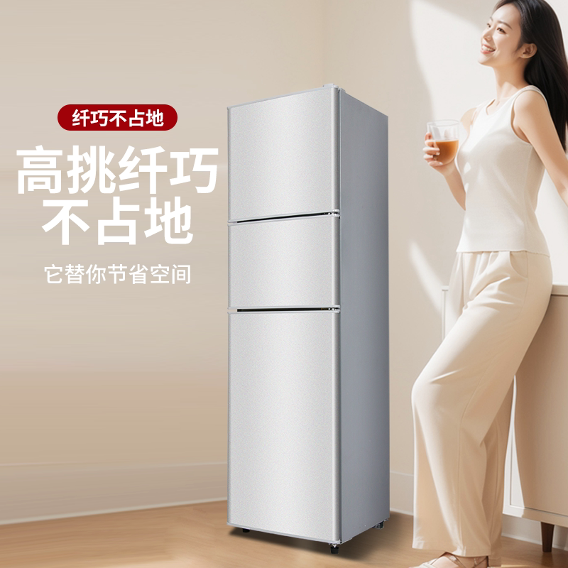 志高BCD-57A138D冰箱图片