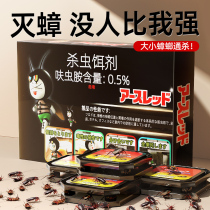 Japanese non-toxic cockroach killer medicine for household use in one pot whole house kitchen pregnant women and babies cockroach killer house 1780