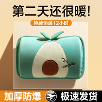 Hot water bottle rechargeable explosion-proof water bottle warm baby plush cute girl hand warmer electric hand warmer bag 893