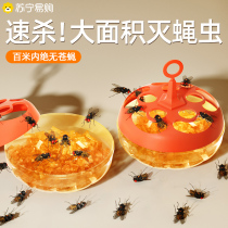 Killing Fly Bait insecticide Insecticide Flies FLY CATCHER SMALL FLYING BUG KSTAR DROSOPHILA TRAP 1780