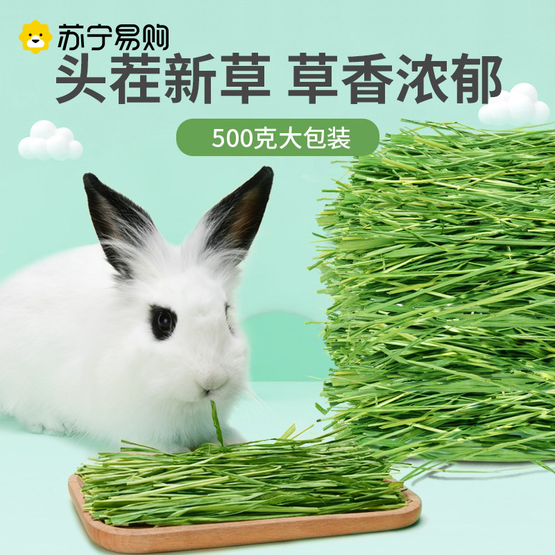 Clover Grass Bake Young Rabbit Grain Purple Flower Dried Grass 1kg Rabbit Feed Dragon Cat Drying Oat New Pasture supplies 951-Taobao