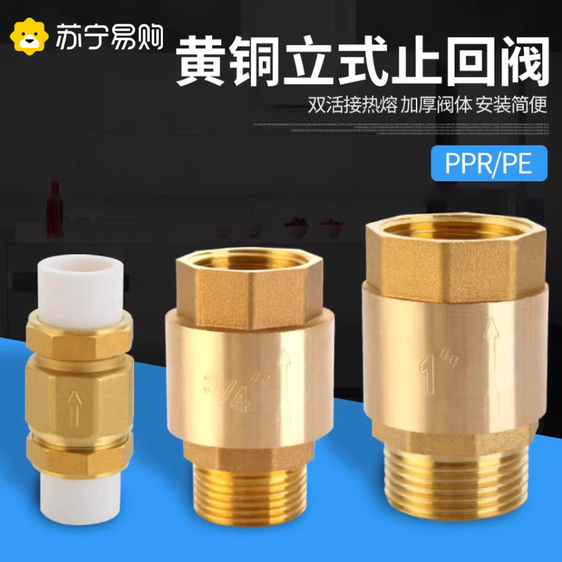 PPR vertical check valve full copper internal and external wire water pipe water meter stop inverse valve spring check valve 3143-Taobao