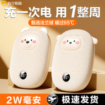 Hand warmer power bank two-in-one baby hand warmer portable girl cute plush hot water bottle artifact 893