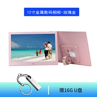 USB-флеш-накопитель, фотография, 12 дюймов, розовое золото, 16G