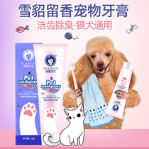 Ferret Remain puppy dog toothpaste kitty toothbrushing aside stinky supplies Teddy pet teeth Tooth Dentity Edible