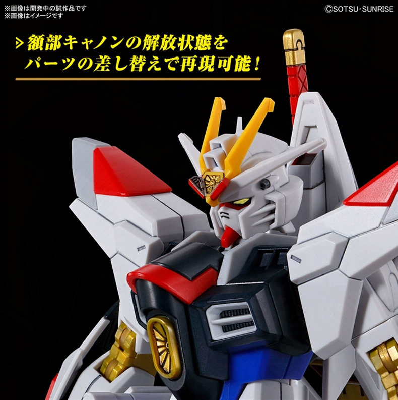 Игрушки из сериалов Gundam 万代高达拼装模型hg hgce 1/144 seed剧场版 非凡强袭自由 钢弹 Bandai