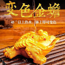 Color-changing Golden Toad creative tea play tea pet decoration tea table table tea small decoration can raise toad Zen tea set