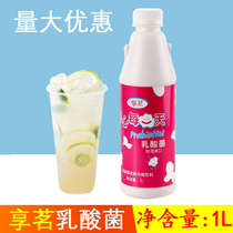 Share Drinking Lactic Acid Bacteria Milk Tea Shop Special Raw Material Beneficial Bacteria Multi-Original Taste Yoghurt Multiug Lactic Acid Bacteria 1L Bottled Commercial