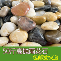 50 pounds of high throwing pebbles rain stones natural small stones fish tank flower pots fleshy decorative pot gardening stones