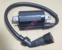 Lifan V16 LF250-D LF250-E KPT200KPS200LF200-10L200-10R ignition coil