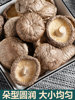 Qingyuan Farmhouse Dried Shiitake Mushrooms Commercial Grade Small Shiitake Non-Special Grade Mushrooms Winter Mushrooms Flower Mushrooms 2 Pieces 500g