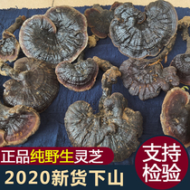 Ganoderma Lucidum Wild purple Ganoderma Lucidum Deep mountain natural whole Nyingchi black Ganoderma lucidum slices Brew wine brew tea soup 250g