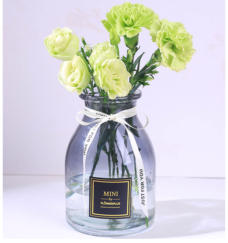 Bình thủy tinh hiện đại đơn giản thủy canh cây thủy tinh chai thủy tinh chèn bình hoa máy tính để bàn phòng khách cắm hoa - Vase / Bồn hoa & Kệ chậu cây treo ban công