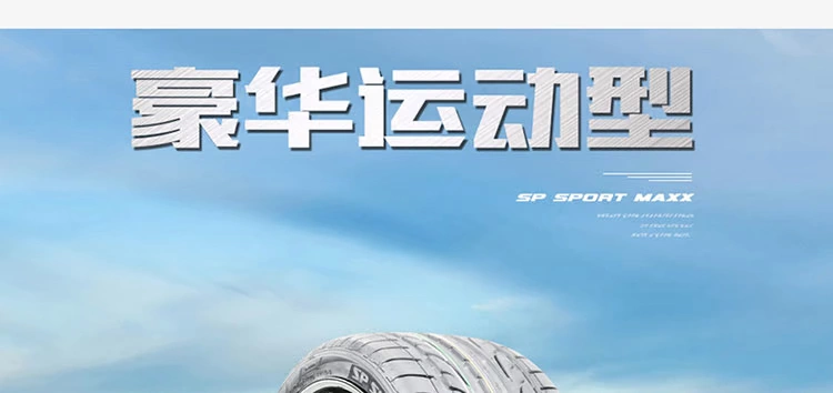 Dunlop nhập khẩu lốp chống nổ 325 / 30R21 SP SPORT MAXX 108Y BMW X5 X6 nguyên bản - Lốp xe