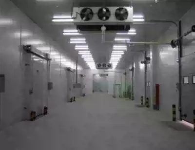 Fresh storage freezer blood vaccine storage Medical Library Sichuan Chengdu can be customized cold storage equipment