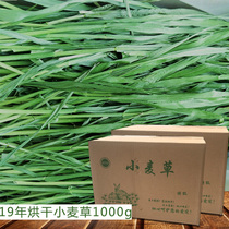 2021 2021 wheat straw hay hay drying tender green leafy multipasta rabbit grass dragon cat tendersage fur weight 1KG
