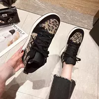 Leopard Color List