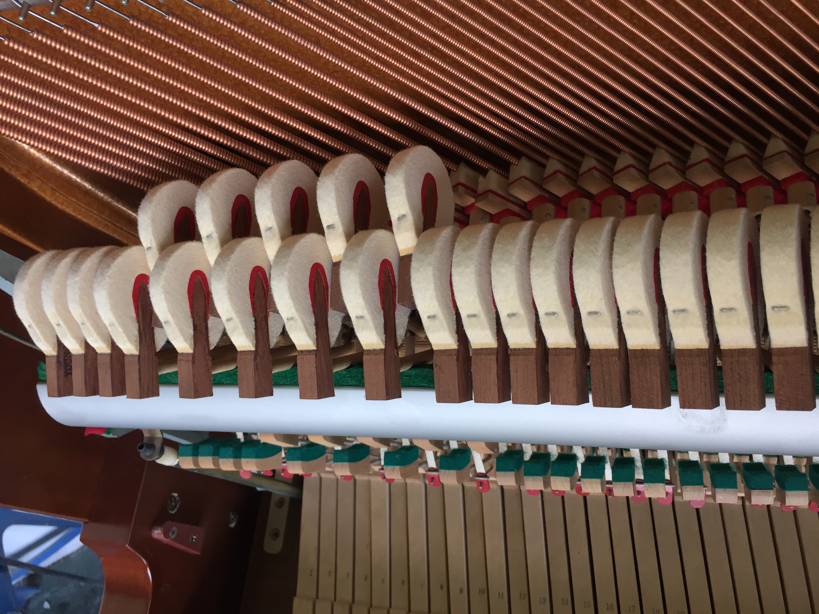 Thâm Quyến nhập khẩu đàn piano Yingchang M-121 sản xuất gần đây sản xuất thiết kế khái niệm hộp sọ bằng gỗ gụ - dương cầm đàn piano điện yamaha