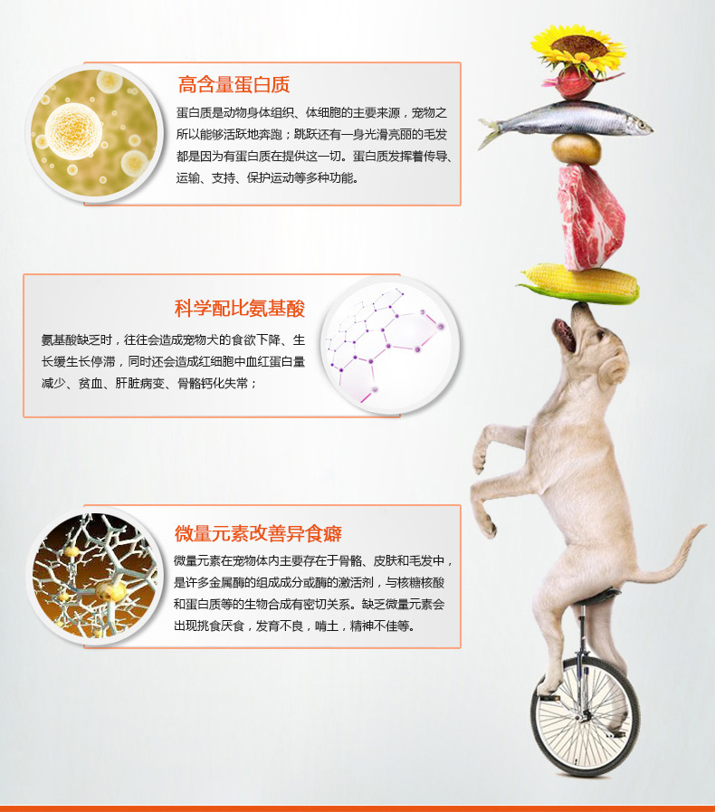 RedDog Red Dog Dinh dưỡng Kem 120g Chó, Chó, Chó, Chó, Vitamin Dinh dưỡng, Nguyên tố vi lượng, Canxi, Teddy, Golden Retriever - Cat / Dog Health bổ sung Sữa Precaten cho mèo