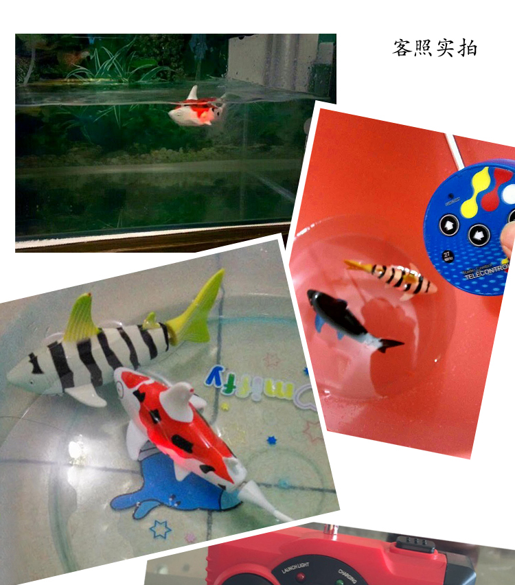Sáng tạo điều khiển từ xa nhỏ cá mập nhỏ điều khiển từ xa thuyền có thể sạc lại cá nhỏ tàu cao tốc tàu ngầm điện đồ chơi trẻ em xe ô tô đồ chơi