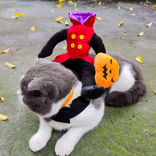 2023 Новый забавный домашний животный Хэллоуин Трансформированный плать