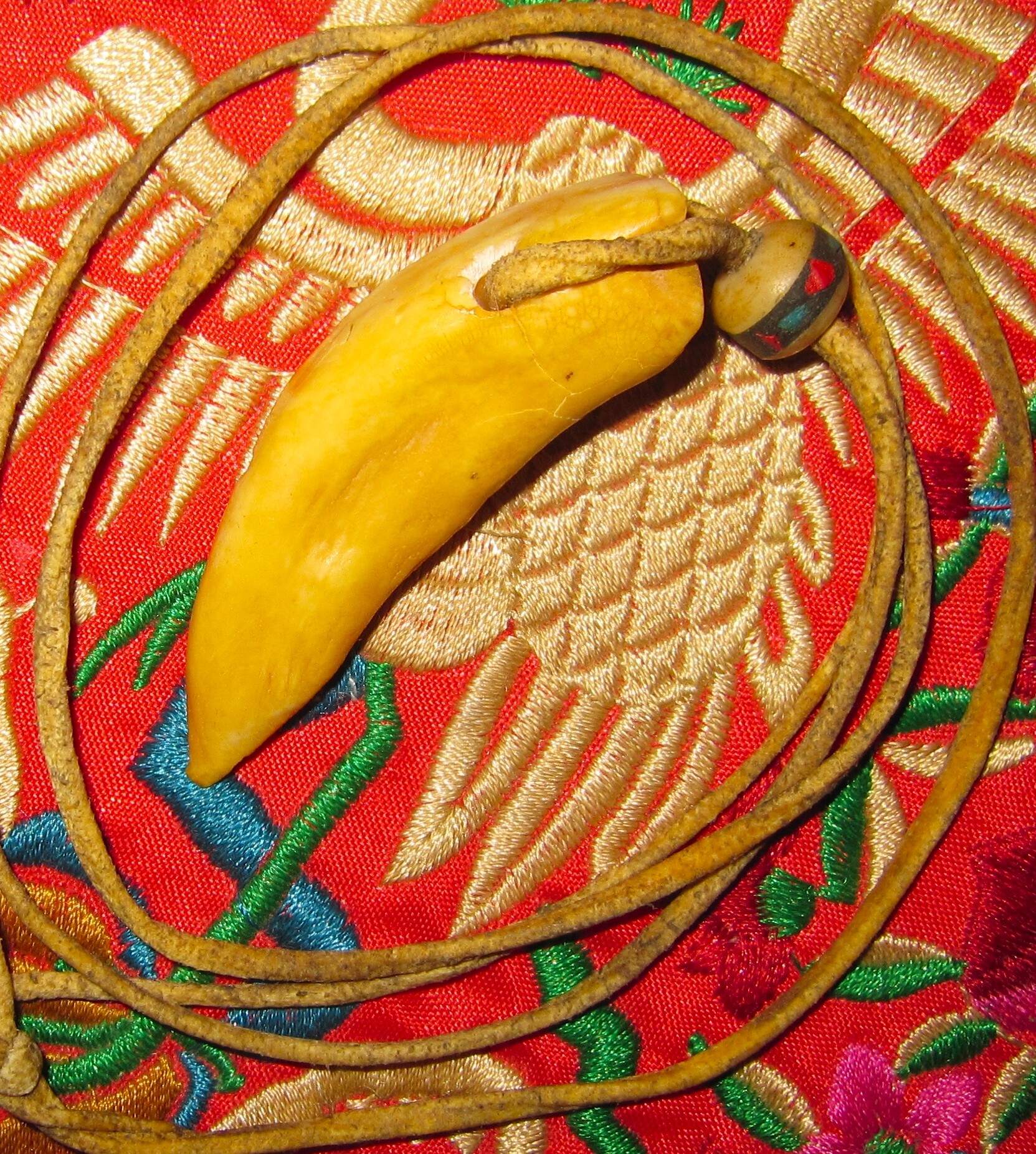 The tooth pendant old gadget is spread out (in kind photo tooth length 5 cm)