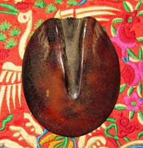 Donkey hoof scraping plate evil spirit protection