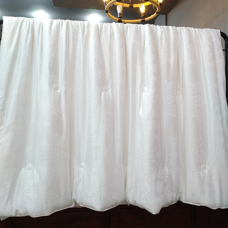 Soybean fiber is antibacterial in four seasons, jacquard core is thickened and warm in spring and autumn, double winter is close-fitting soybean quilt