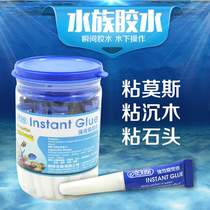 Special offer Taiwan ISTA instant glue super special formula moss water grass sunken coral glue 4G Branch