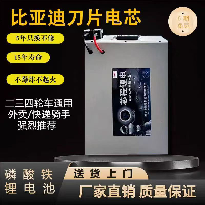 Byd Blade Battery 60V Electric Vehicle Tricycle Low-Speed Four-Wheel Delivery Vehicle Dedicated Large-Capacity Lithium Battery