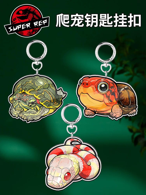 Superrep Reptile Pet Original Acrylic Keychain Pendant Reptile Bearded Dragon Tortoise Snake Peripheral Decoration Superrep Reptile Pet Original Acrylic Keychain Pendant Reptile Bearded Dragon Tortoise Snake Peripheral Decoration