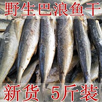 Dried salted fish dried small fish specialties dried dried fresh sea fish Fujian wild seafood salted fish 2500g