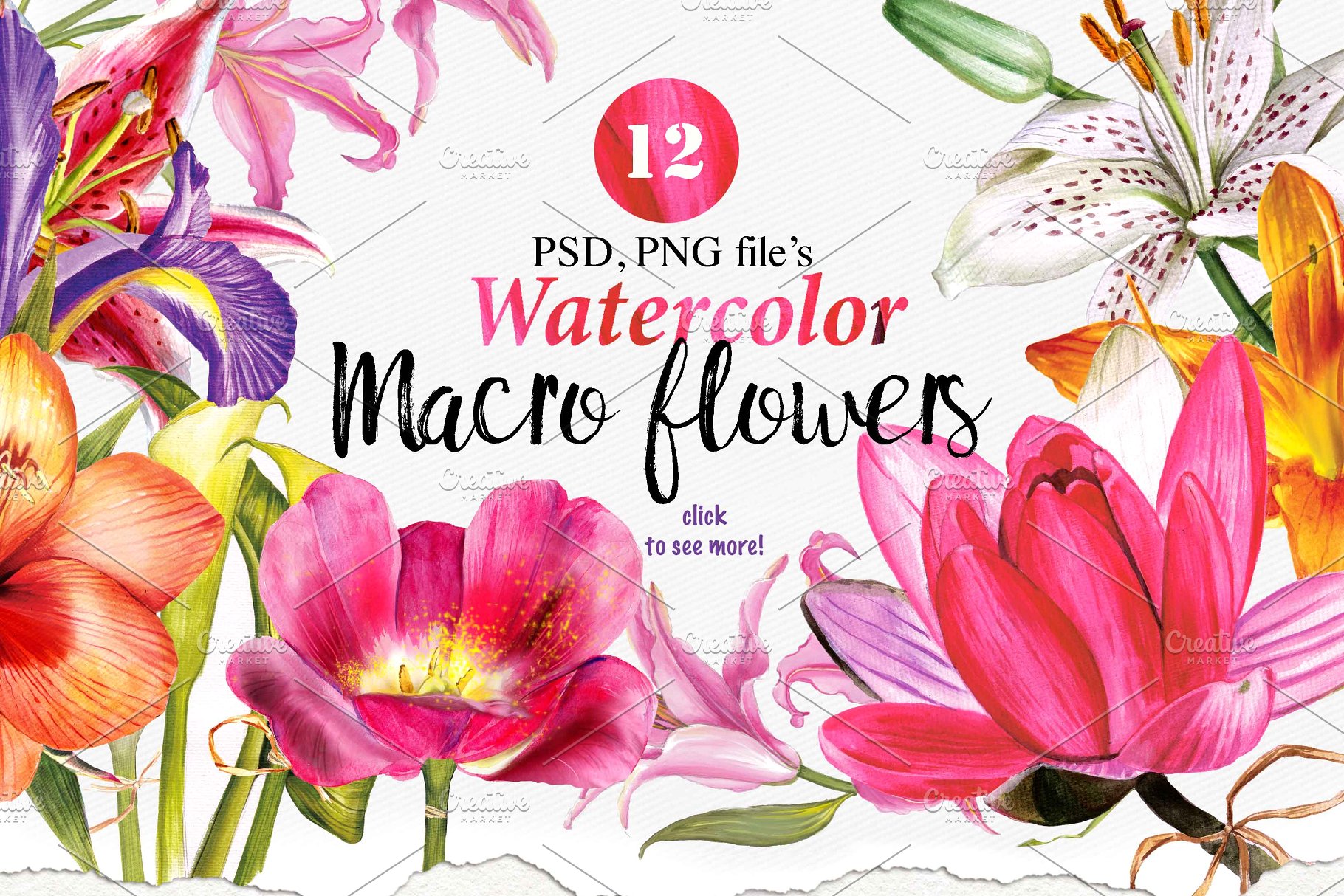 120PNG水彩手绘花卉素材合集 Over 120PNG watercolors设计素材模板