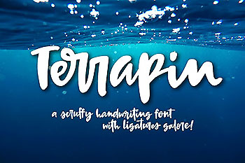 粗狂字体下载 Terrapin: a bold handwriting scxript