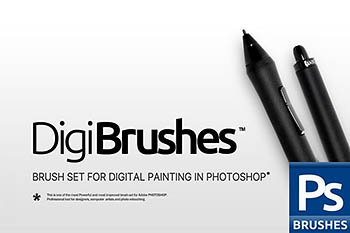 数字绘画笔刷 RM PRO Digi Brushes