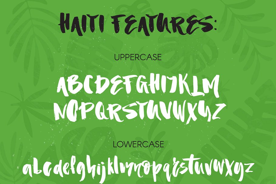 粗狂手绘笔刷字体 Haiti Organic Brush Font +Extras设计素材模板