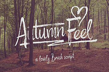 手绘书法字体 Rough script ＂Autumn Feel＂