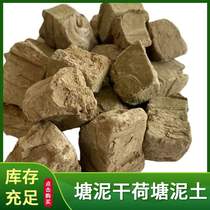 Lotus pond mud dry lotus pond soil potted flowers and vegetable cultivation stroma sleeping lotus miniatures to grow nutritious earth