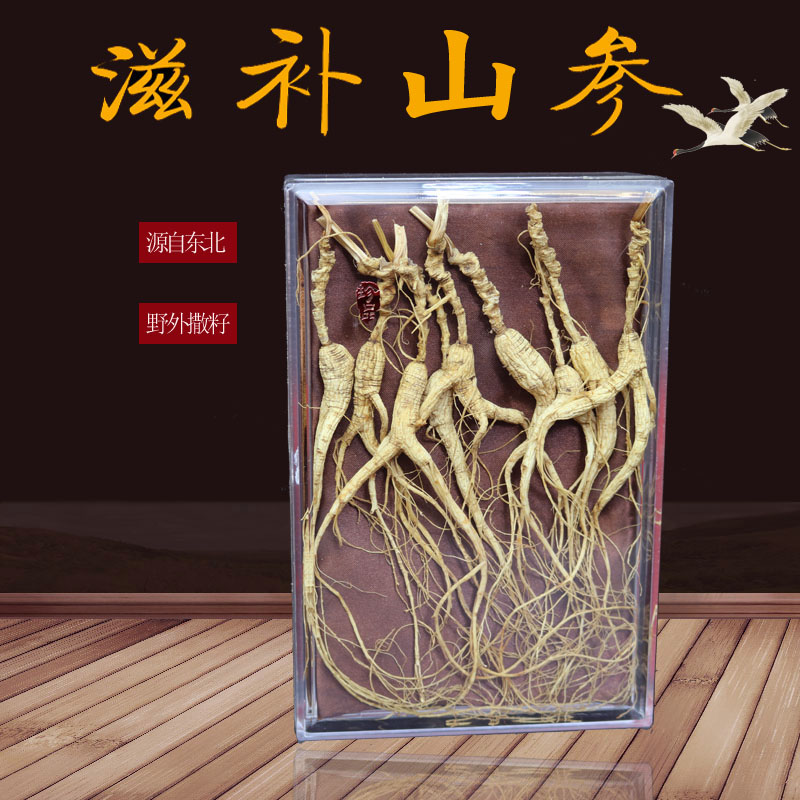 20-year Ginseng Wild Mountain Ginseng Gift Box Changbai Mountain Forest Ginseng Northeast Wild Ginseng Old Mountain Ginseng Soak Wine and Soup for Self-Use