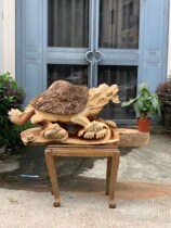 Camphor wood root carving large decoration Dragon turtle carving living room home art decoration Cliff cypress wood carving animal lucky