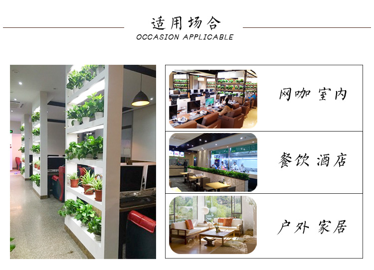 Mô phỏng củ cải xanh trong chậu và ngoài trời trang trí chậu nhựa cây hoa nhân tạo và cây trang trí mô phỏng thực vật trang trí - Hoa nhân tạo / Cây / Trái cây cây bàng giả