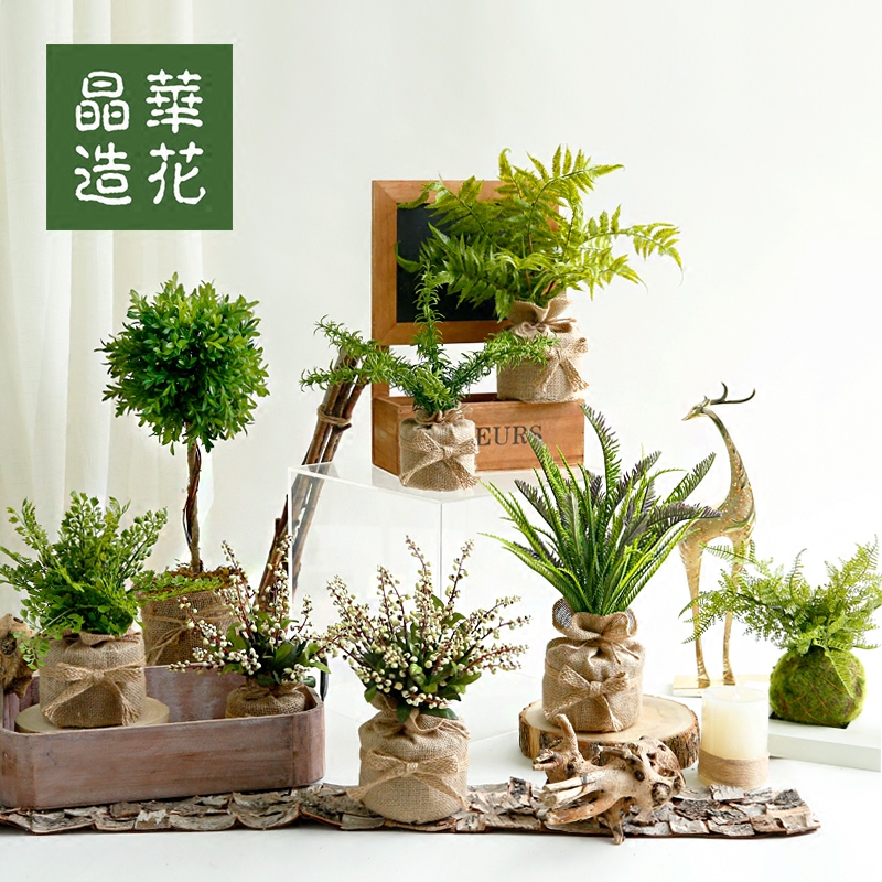 Taiwan Jinghua simulation plant simulation green plant potted ornaments decorative desktop small potted ornaments Nordic wind green plants
