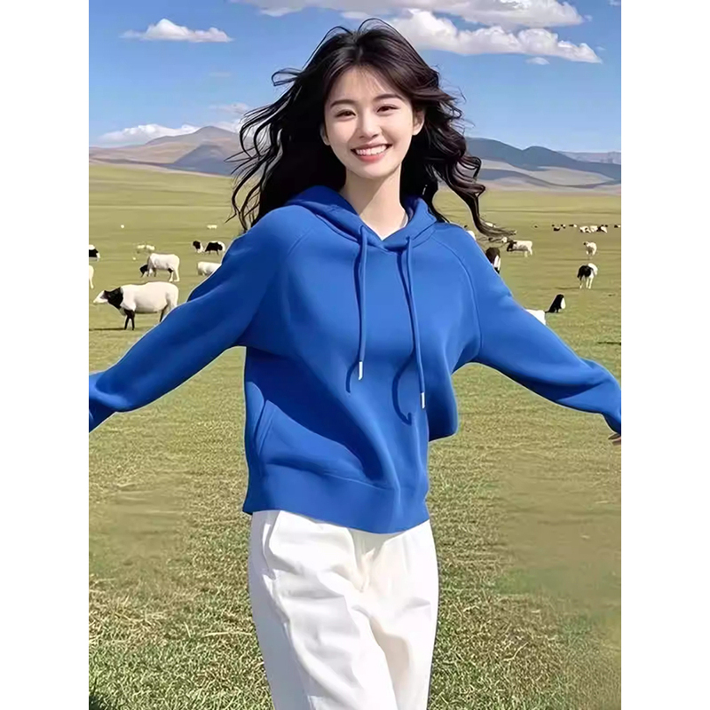 Klein Blue Hooded Pullover Long-Sleeved Sweatshirt for Women 2024 Winter New Style Loose and Slimming Super Beautiful Top