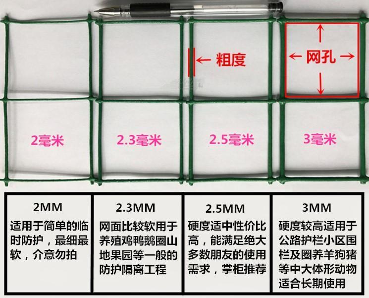 Thicken fence exterior wall climbing vine wire mesh steel wire mesh beef outdoor plus cracking block thicken green wall