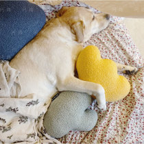 Ask the way she wants to go on her own to buy a flower handle pillow pet to accompany the sleeping doll without sounding plush toy