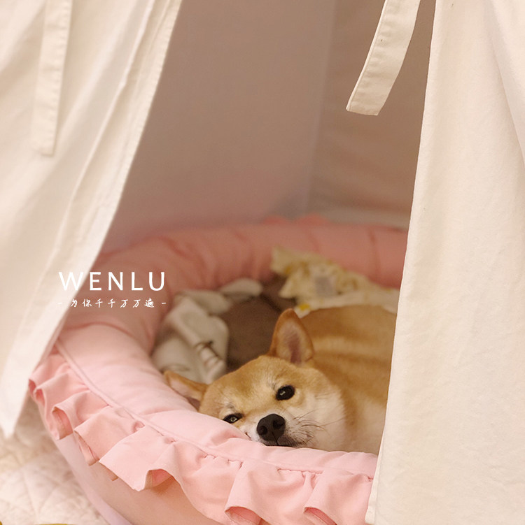 Asking for directions, avoiding a dream, pet tent, safe house, game house, exclusive small room for cats and dogs