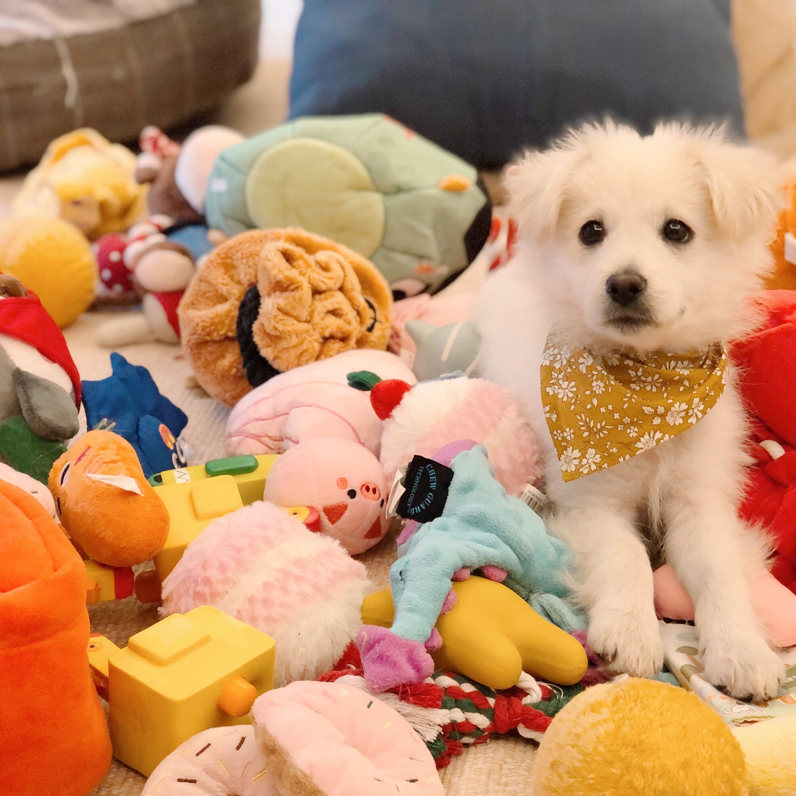 Years later ) to play ) sounding toy collection pet companion interactive plush toys two